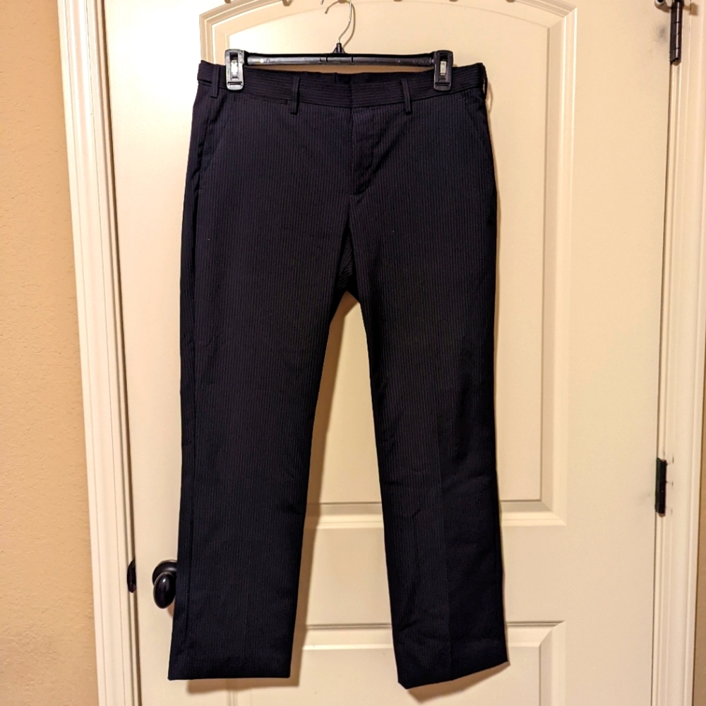 Express Photographer pinstripe gray pants 33x30